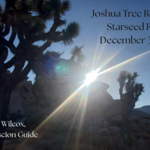 Joshua Tree Re-Wylding Starseed Retreat - Full Payment