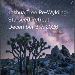 Joshua Tree Re-Wylding Starseed Retreat - Full Payment