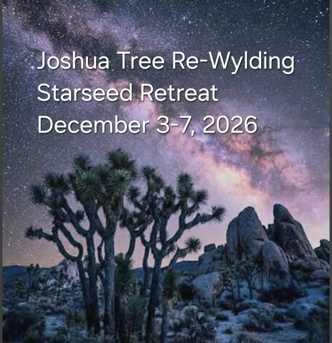 Joshua Tree Re-Wylding the Starseed Retreat DEPOSIT