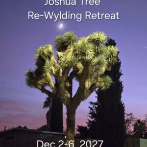 Joshua Tree Re-Wylding Retreat - Full Payment