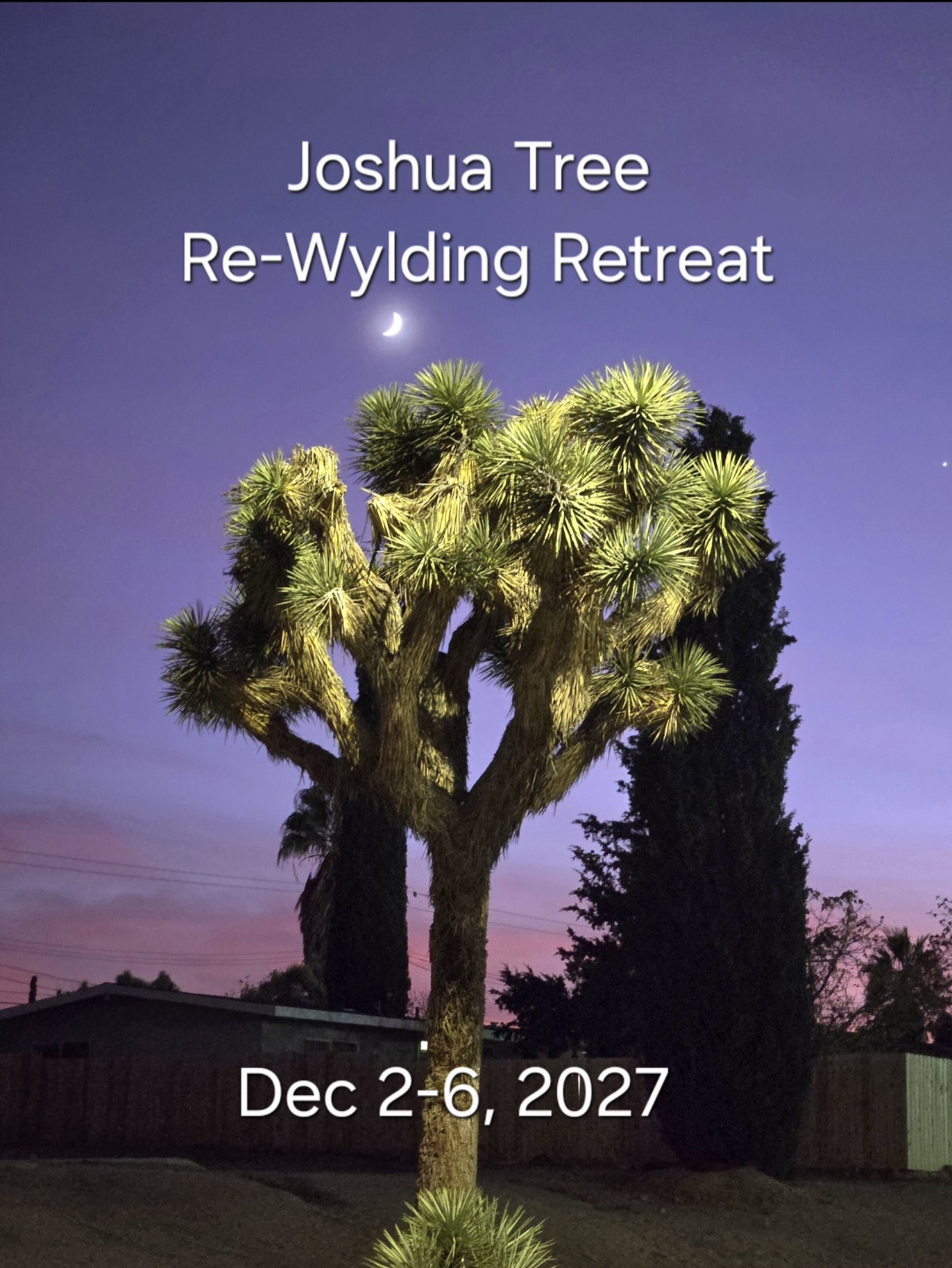 Joshua Tree Re-Wylding Retreat - Full Payment