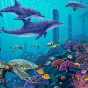 Atlantean & Crystal Reiki Online