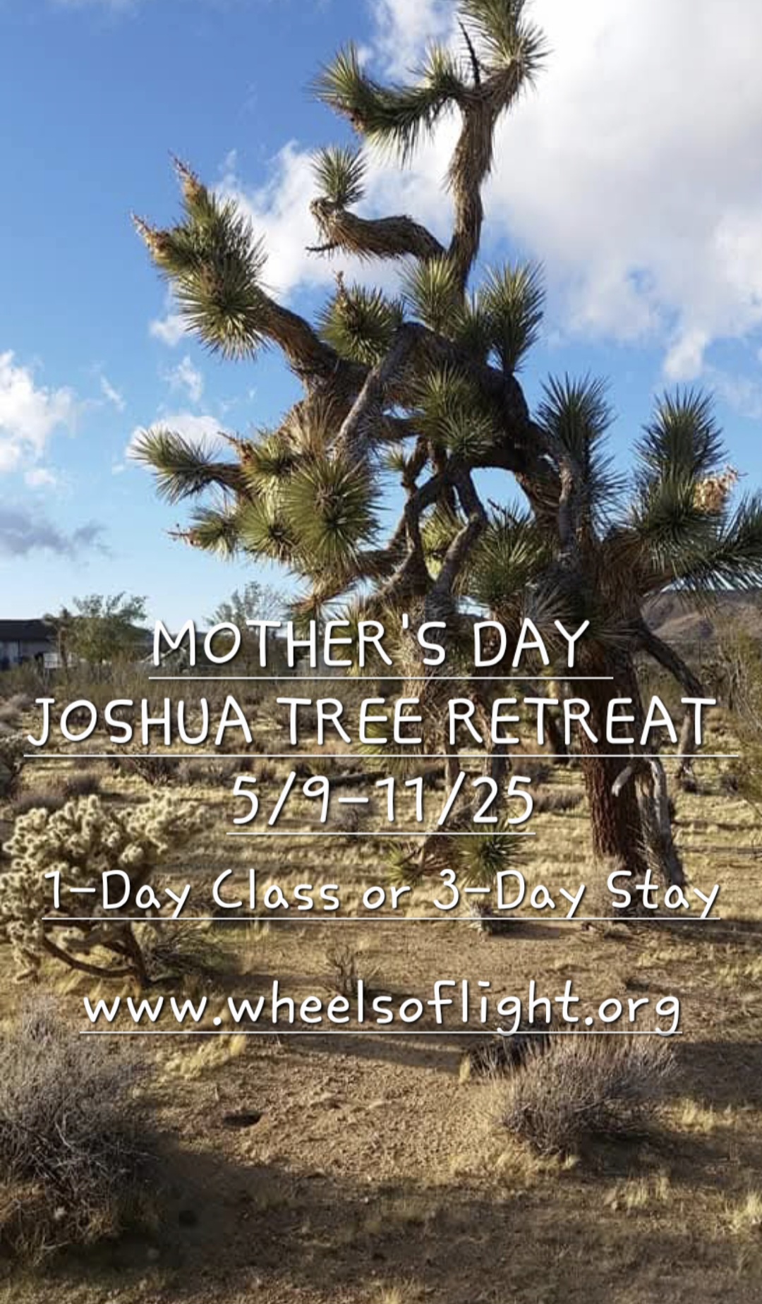 Mother's Day Women's Wellness Retreat 5/10/25